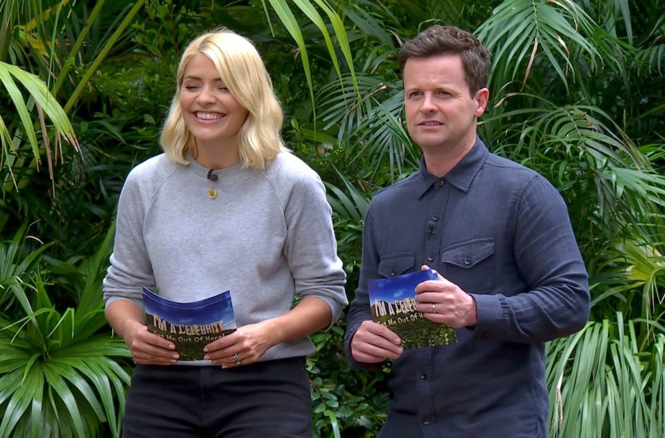  Holly replaced Ant McPartlin on I'm A Celeb last year