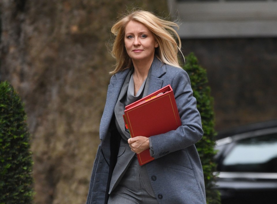  Esther McVey is now backing the Brexit deal