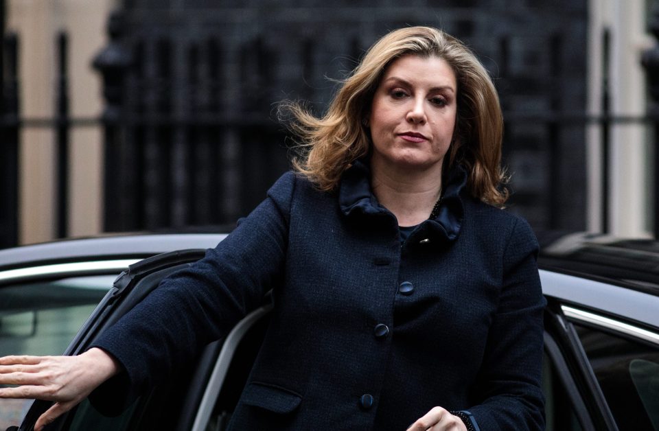  Cabinet Minister Penny Mordaunt said the help intends to focus on the 'root causes' which help fuel the terror networks