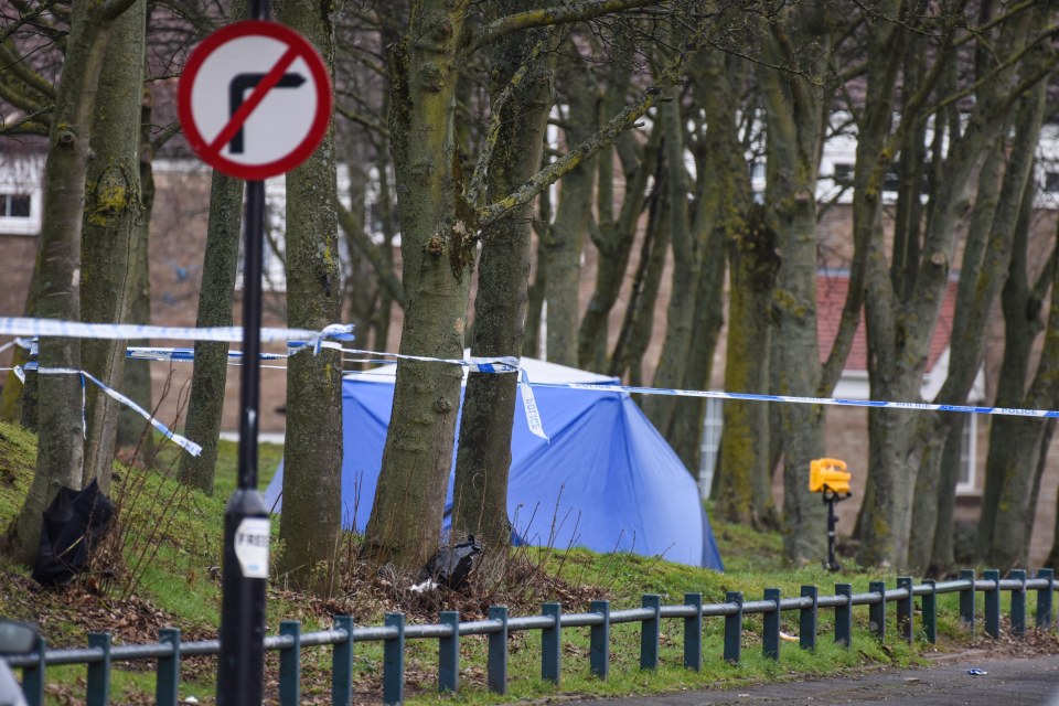  Abdullah Muhammad was stabbed to death on Herbert Road in Small Heath, Birmingham on Wednesday, 20th