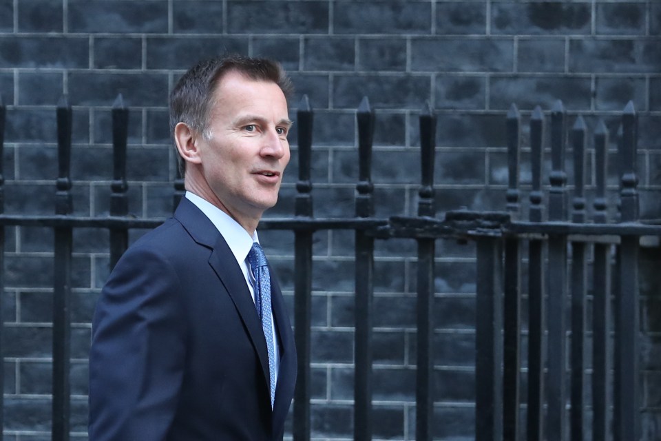  Jeremy Hunt has hit out at the EU over Brexit