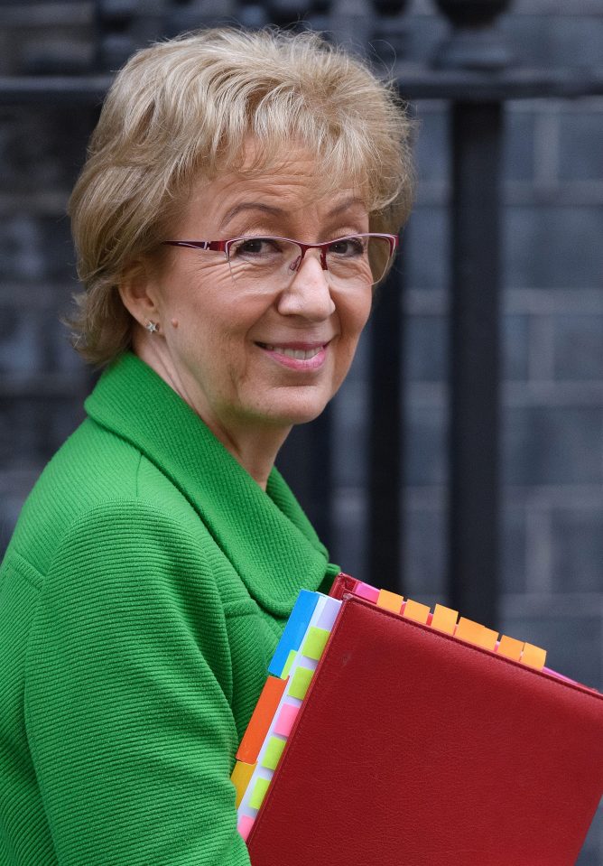  Andrea Leadsom told MPs' concerns about Islamophobia should be directed to the Foreign Office - critics said it alluded British Muslims were 'foreigners'