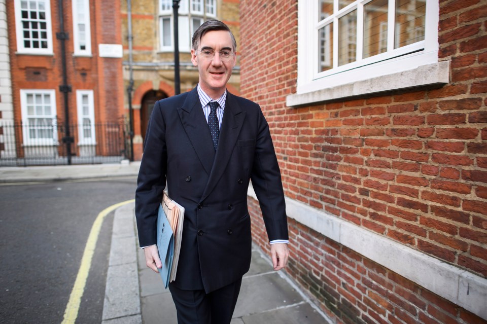 Jacob Rees-Mogg suggested the PM should scrap her Brexit vote if she couldn’t bring anything back