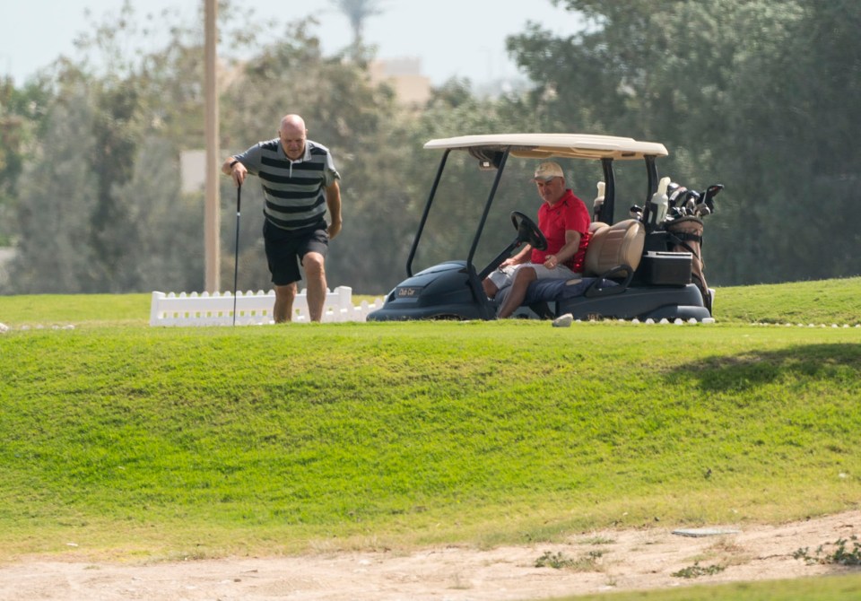  Andy Gray, pictured on the golf course, found flirting with dog breeder, nurse and TV girl