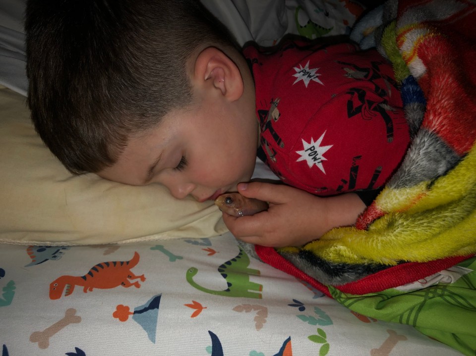  Everett Hamlin's mum found him cuddling his dead goldfish in bed