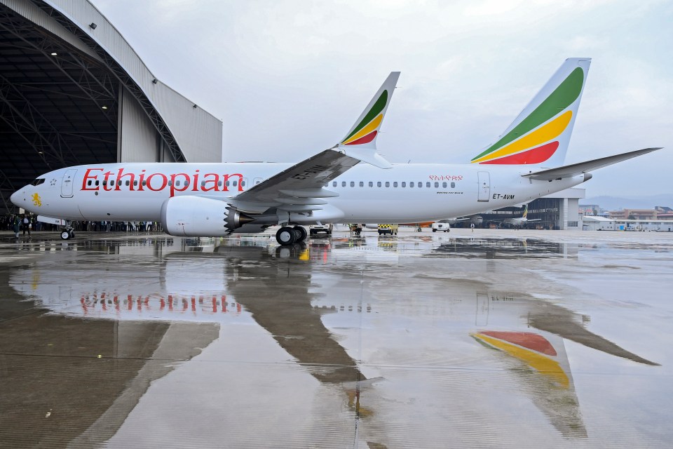  The Ethiopian Airlines Boeing 737-8 Max that crashed carrying passengers from Addis Ababa to Nairobi