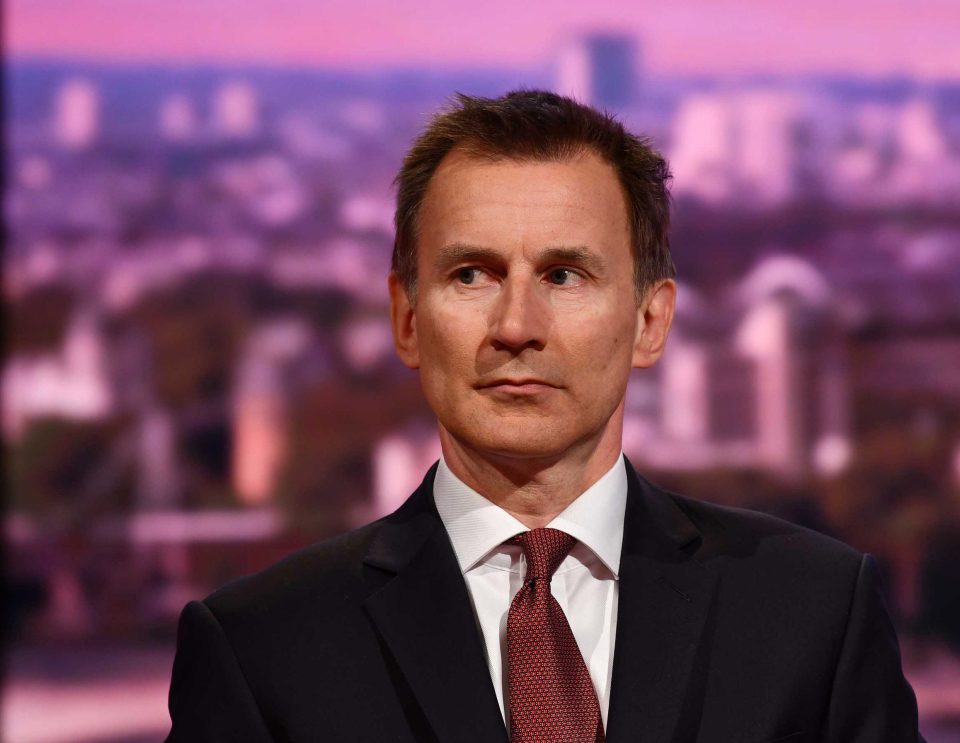  Jeremy Hunt said voting down Theresa May's deal would put 'wind in the sails' of Remainers trying to overturn Brexit