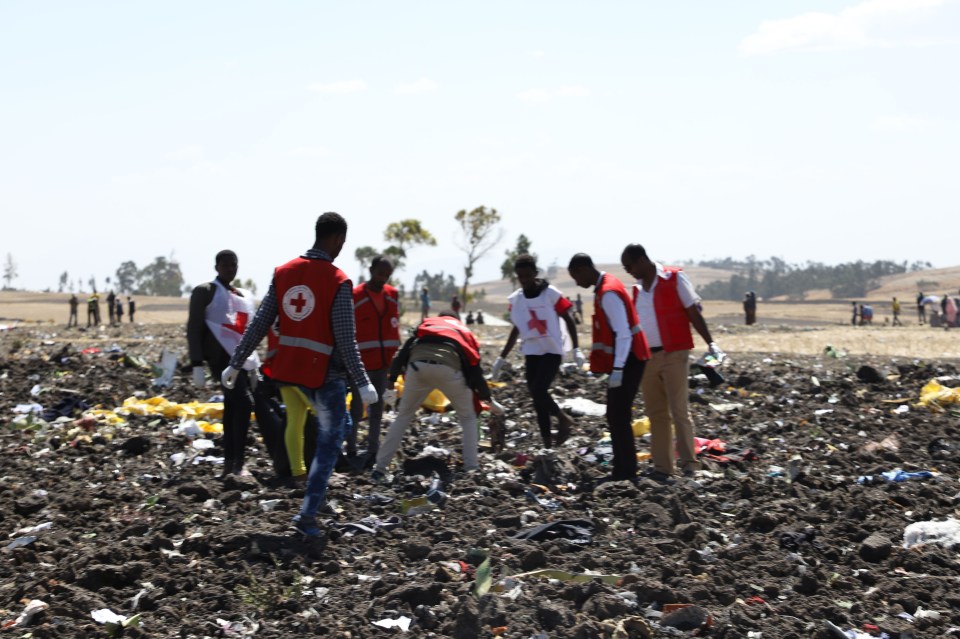 Red Cross teams are seen at the crash site