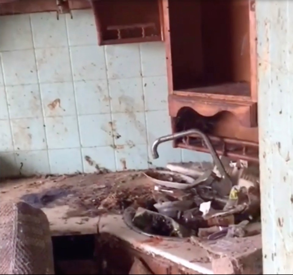  Filthy dishes cluttered the sink, and splattered walls were in evidence