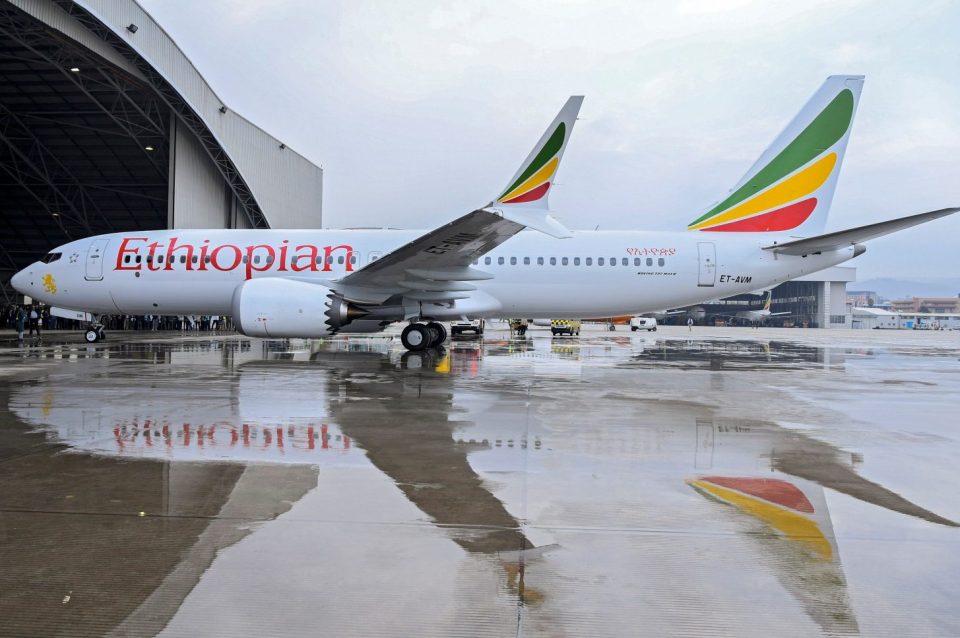  China has ordered its airlines to temporarily ground their Boeing 737 Max 8 planes, pictured is the same type of aircraft that crashed in Ethiopia