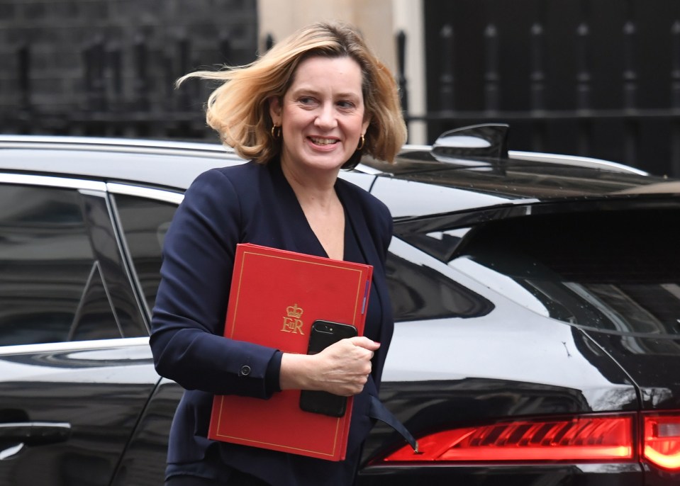 Amber Rudd threatened to resign rather than back No Deal