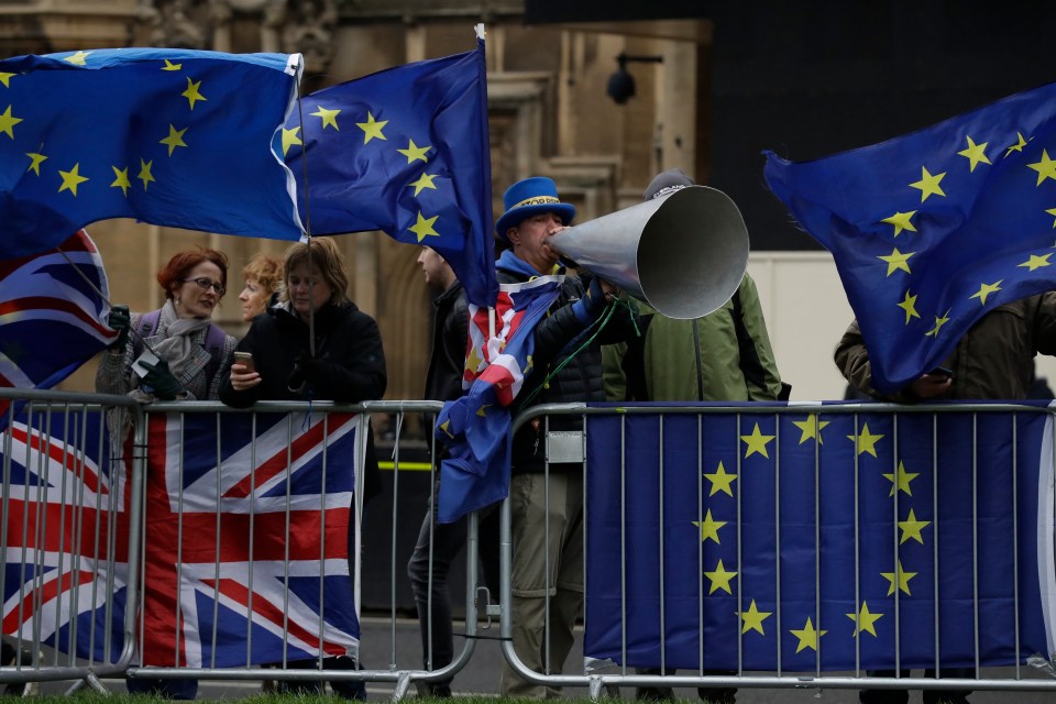  Remainers were also standing outside Parliament ahead of last night's vote