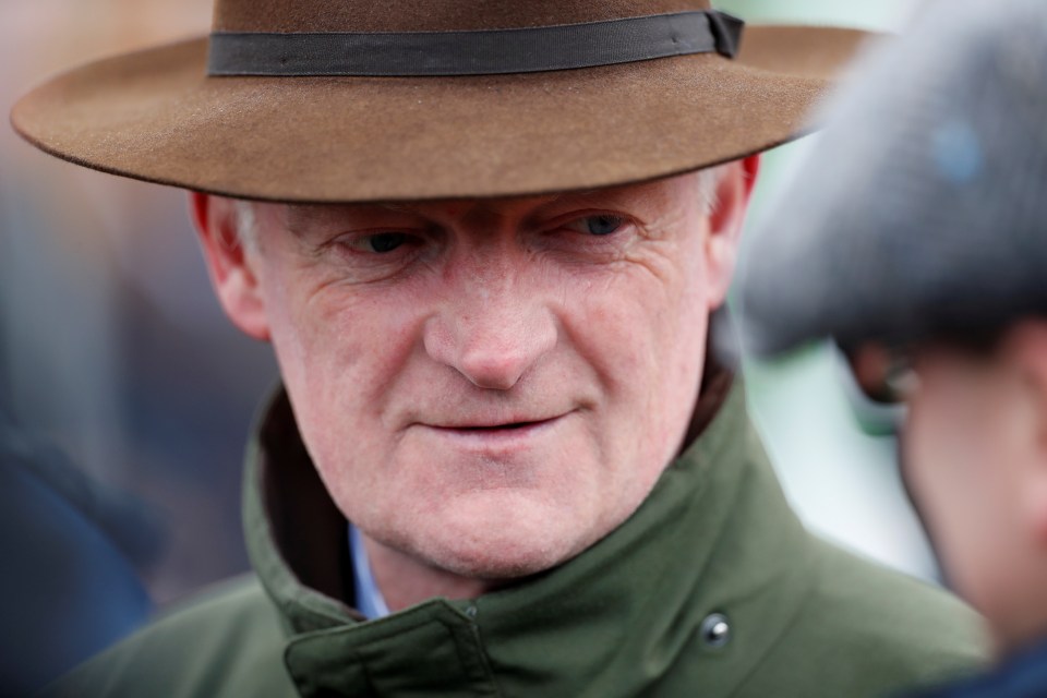  Willie Mullins has a big chance in the Bumper with Blue Sari