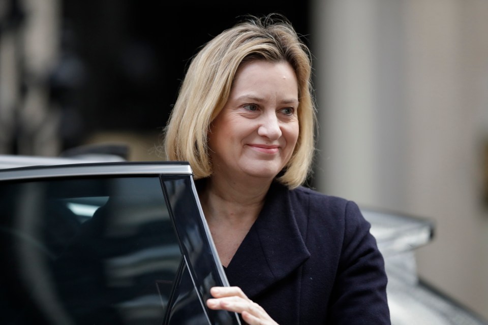  Sources close to Amber Rudd said she had spent most of the morning urging colleagues to vote against the ‘Spelman-Dromey’