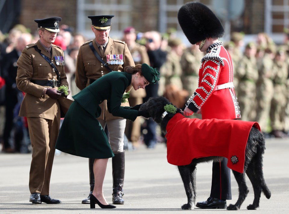  The duchess gives the furry dog a pat