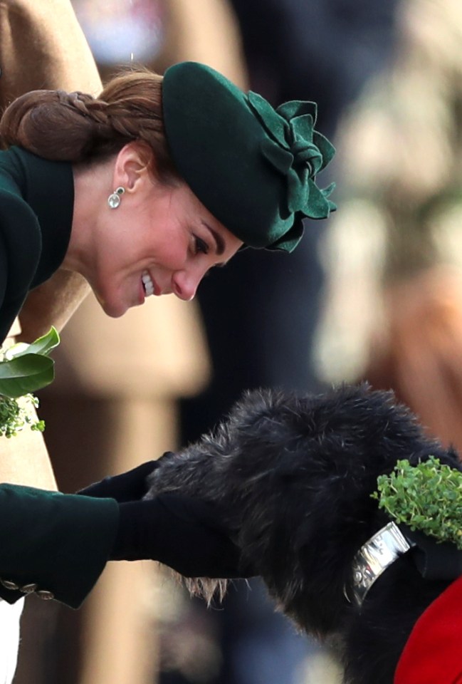  The Duchess of Cambridge gives Shamrock to a dog named Domhnall during the St Patrick's Day Parade