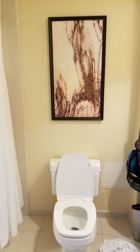  A rather unusual piece of art designed to look like brown smears was perhaps a poor choice for decorating a toilet