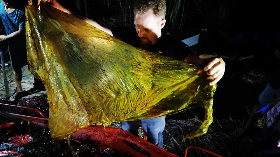  The whale had swallowed over six stone of plastic