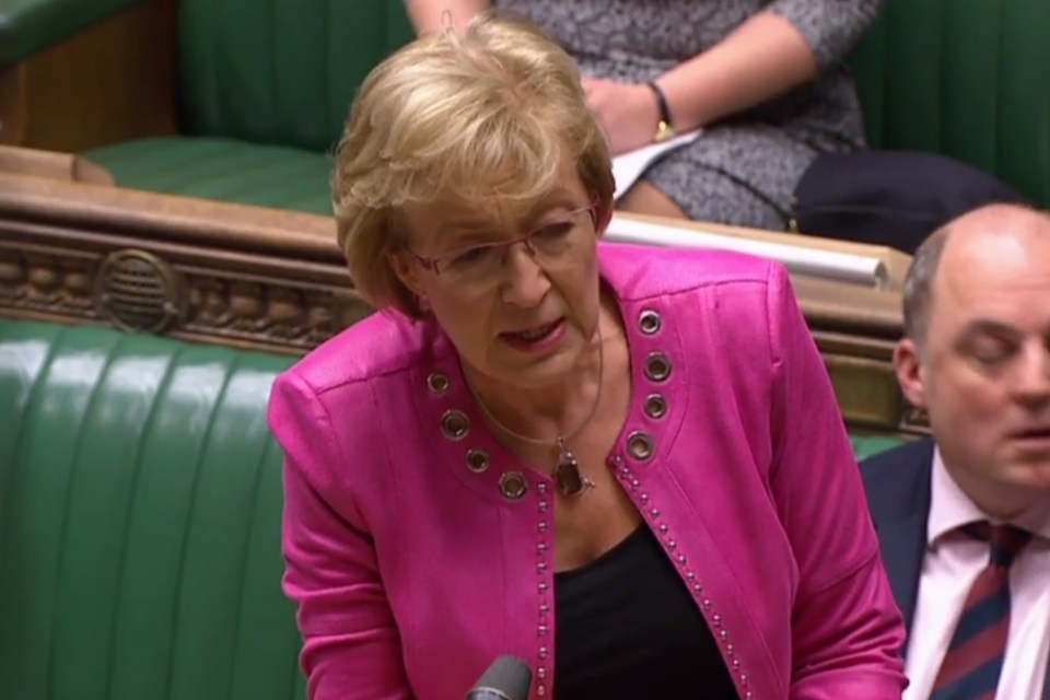 Brexiteer Andrea Leadsom attacked the Cabinet’s Remainers and the inability to deliver Brexit