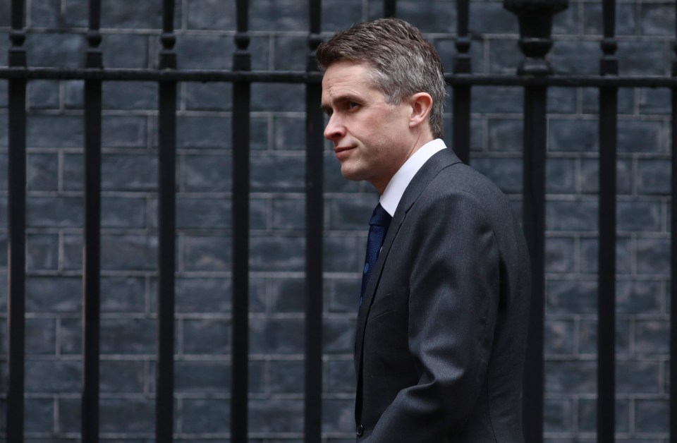 Defence Secretary Gavin Williamson told the Prime Minister to trust her instincts