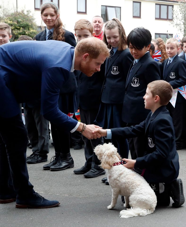  Prince Harry has proved numerous times that he is good with kids, hinting that he will make a good parent