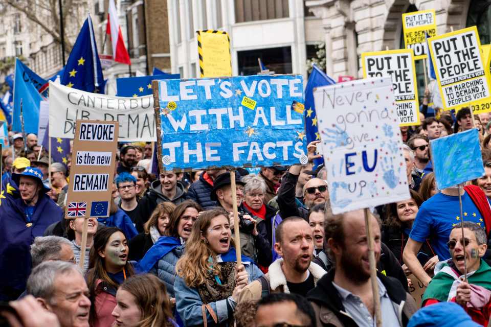  People hold up placards and European flags in the streets of London