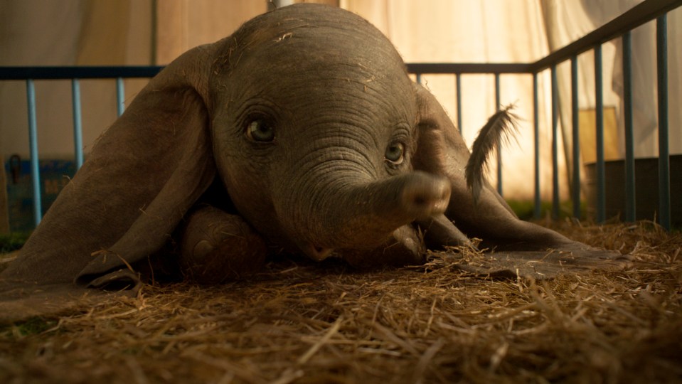  Celebrate the release of Dumbo with these money-saving tips