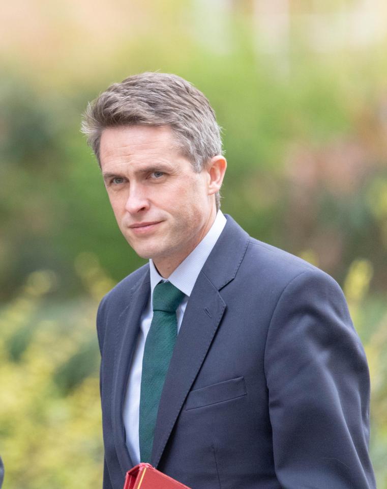  Defence Secretary Gavin Williamson has been attempting to talk the DUP round to supporting the deal