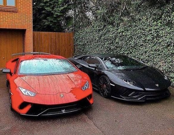 Thrive All Exotics @thriveallexotics : Which color would you take out today?!