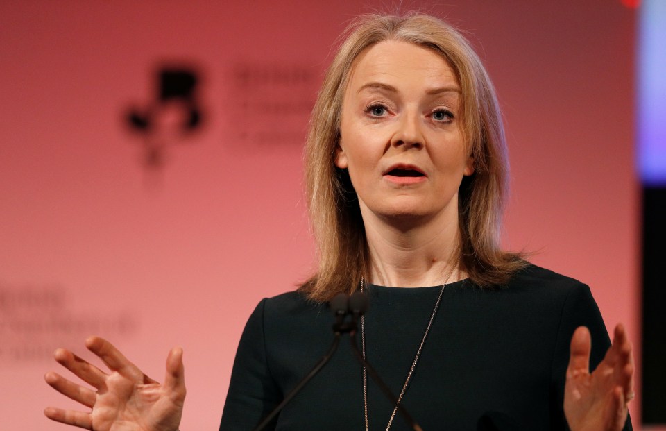  Liz Truss dropped a heavy hint she will run to replace Theresa May by throwing her weight behind a Canada-style free trade deal backed by Brexiteers