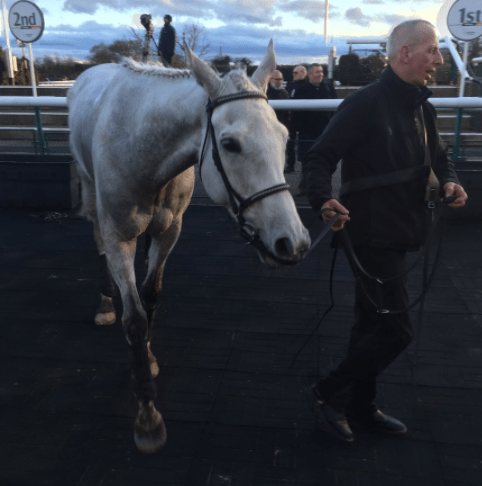  Sundance Boy was a long-overdue winner for trainer Giuseppe Fierro