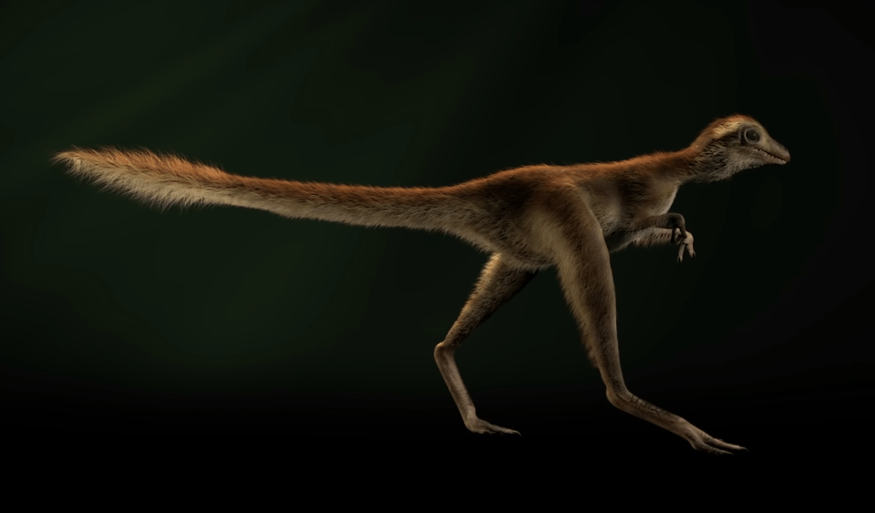  New 3D models reveal how baby T-Rex really looked