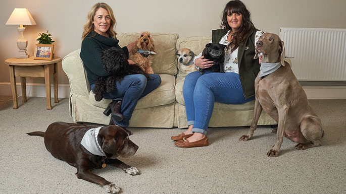  Puppy love: Sarah Beeny and Maple with Becky Linnell and her canine pals