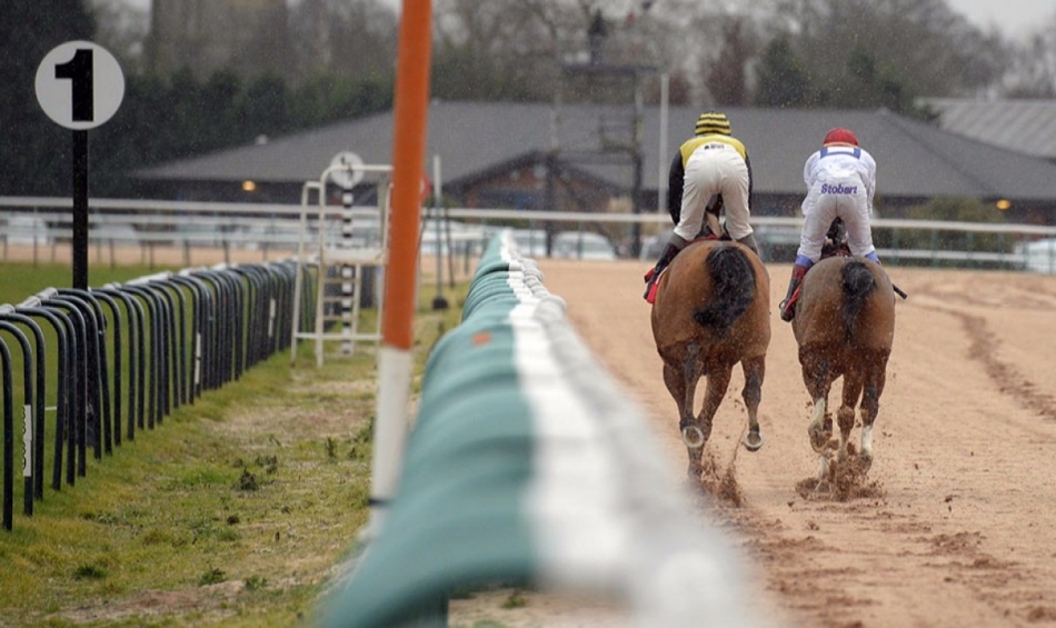 Wincanton, Carlisle, Southwell and Chelmsford come under the spotlight as Templegate gives you his best bets for the day