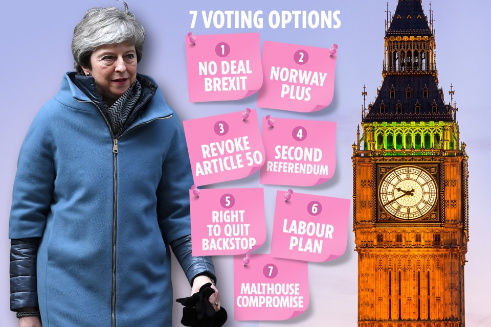 MPs rushed to derail Theresa May’s Brexit plans as 16 alternatives to her deal were tabled