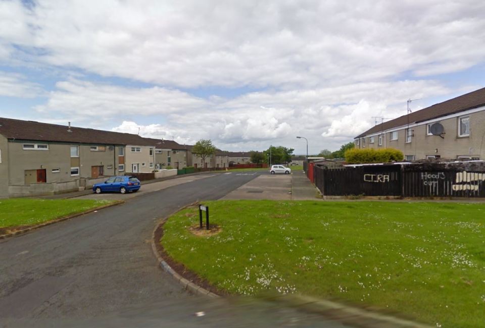  The incident occurred on the Drumbeg estate in Craigavon, Northern Ireland