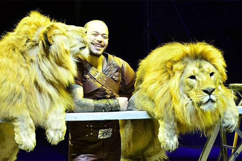  The entertainer said one of the lion's teeth was 'inside the muscle'