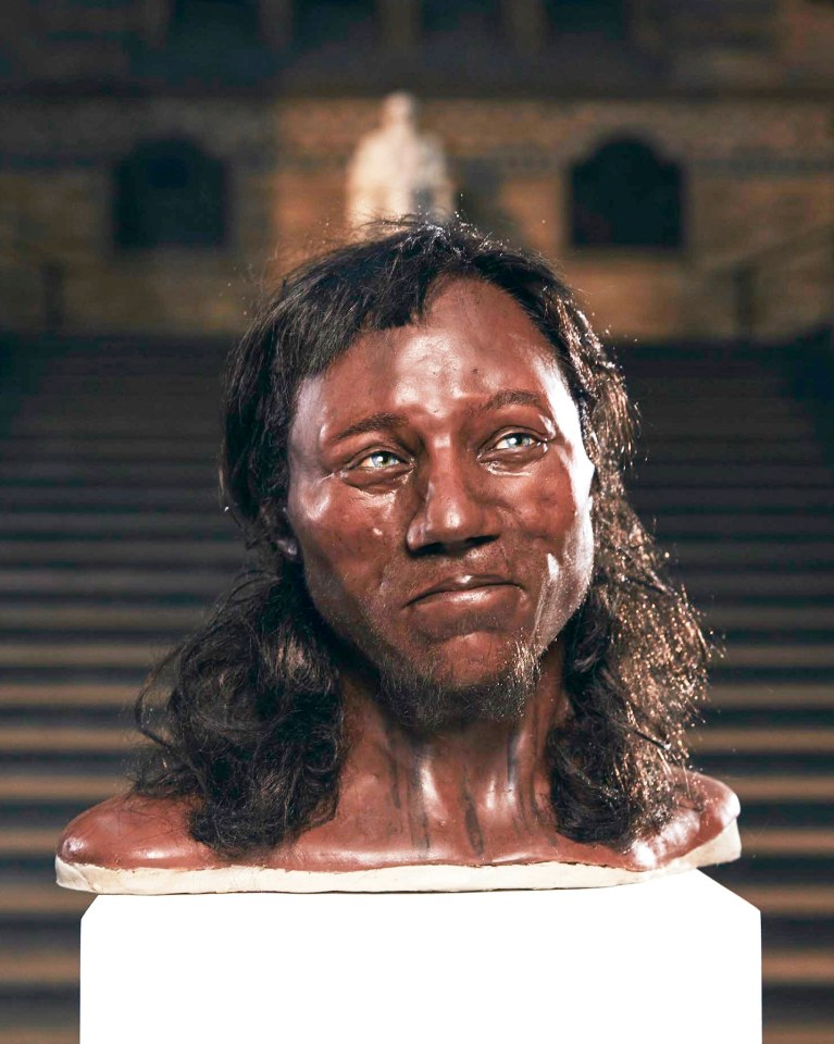  DNA from the famous Cheddar Man was also analysed during the study, his remains predate the arrival of the Stonehenge ancestors in the UK