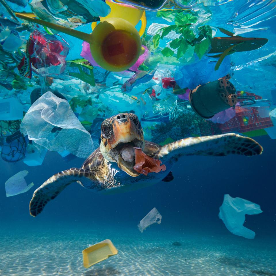  The report states that humans have disrupted 40% of the Earth's marine environment