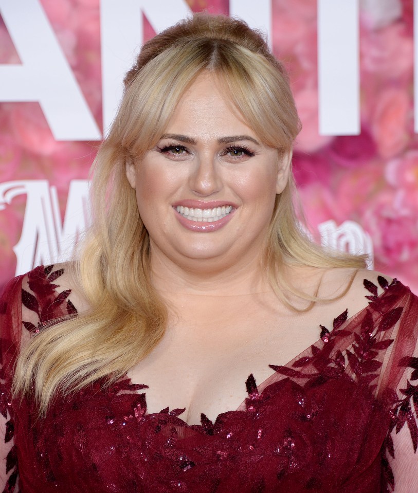  Rebel Wilson is an Australian actress