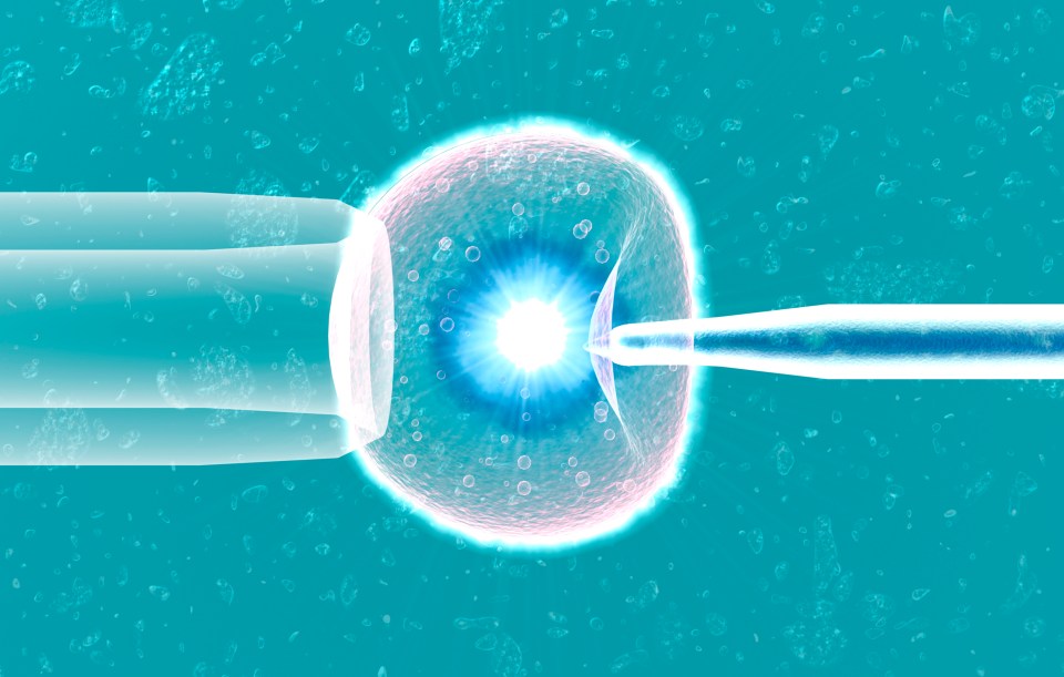  Age is the main risk factor when it comes to IVF success