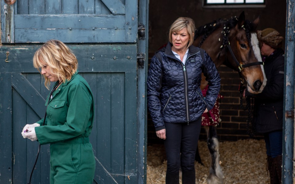  The ruthless millionaire has roped Rhona – played by Zoe Henry in the ITV soap - into setting up a plan to get Jamie – also a vet – back to the village.