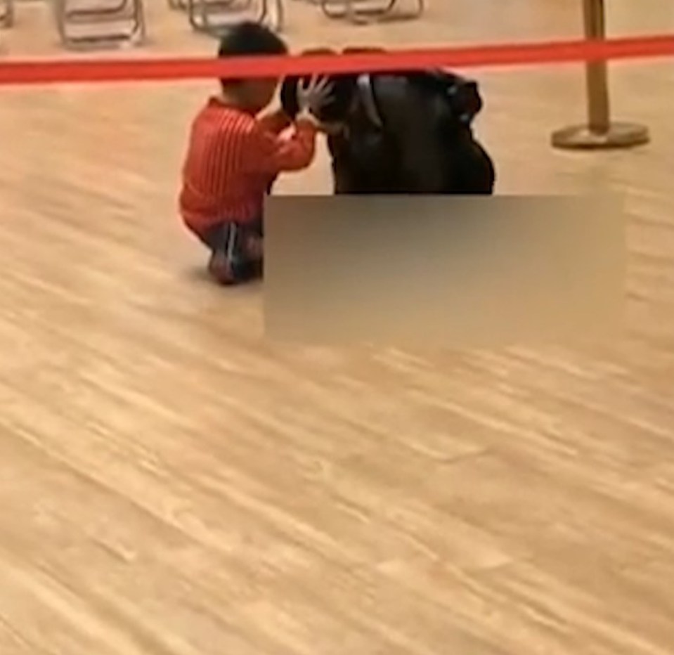  The mum and older brother weep beside the baby's body on the shopping centre floor