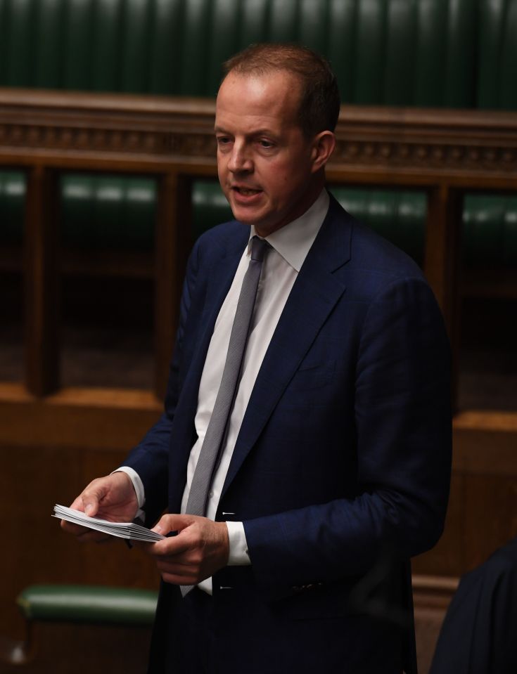  Tory Nick Boles said his plan had failed and that he could no longer sit as a Tory