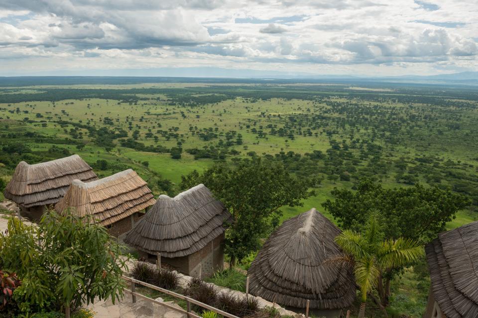  Safari tourists can hope to spot chimps and lions in the game reserve