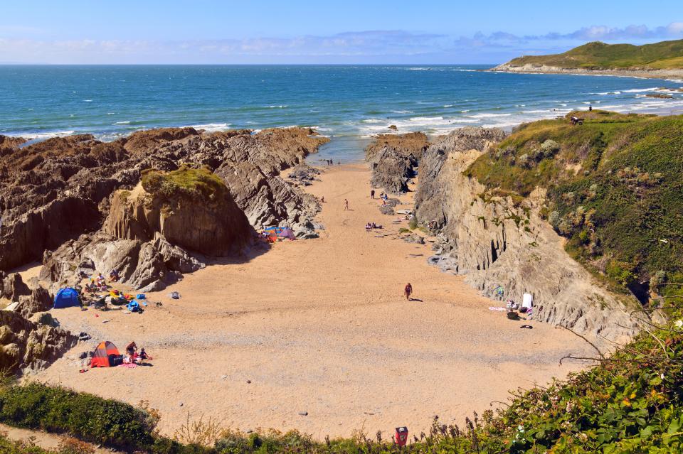  The woman was bitten by the venomous reptile in the sand dunes behind Woolacombe beach in North Devon on Sunday