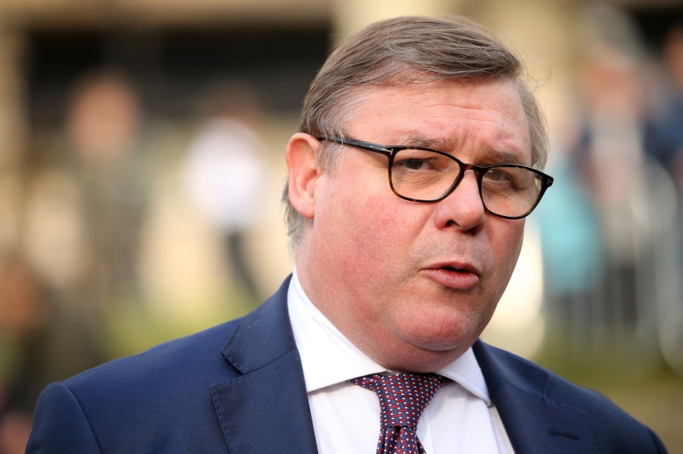 Mark Francois has called for a no-confidence vote in Theresa May