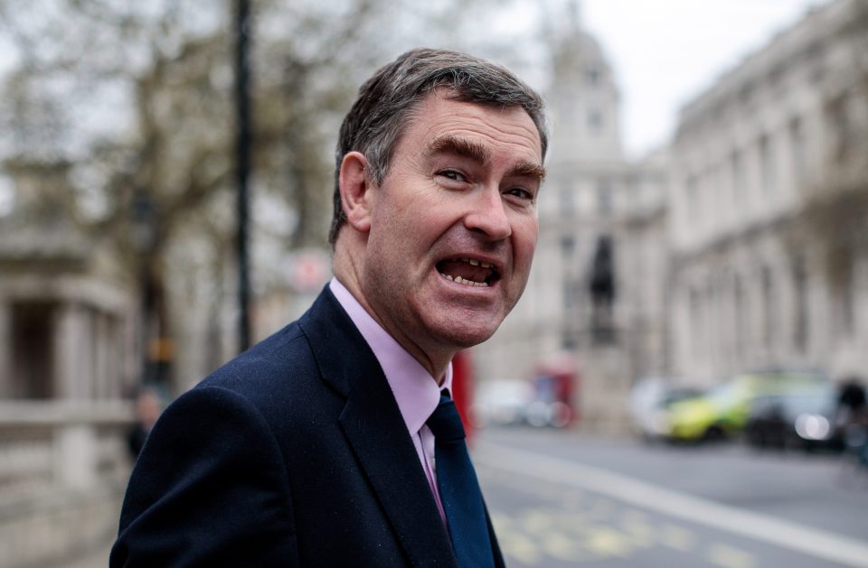  The Tories have no candidates in the seat of Remainer Cabinet minister David Gauke for fear of humiliation over his Europhile views