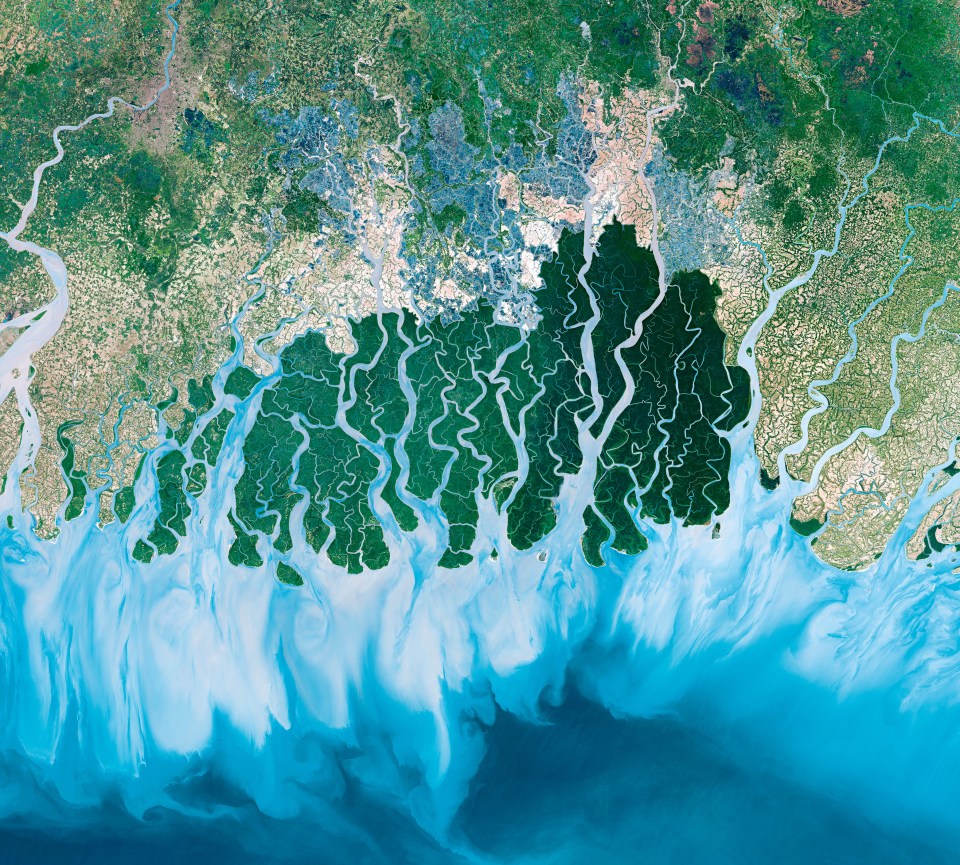  Earth From Space continues on BBC1 with views such as the Sundarbans, the largest delta in the world