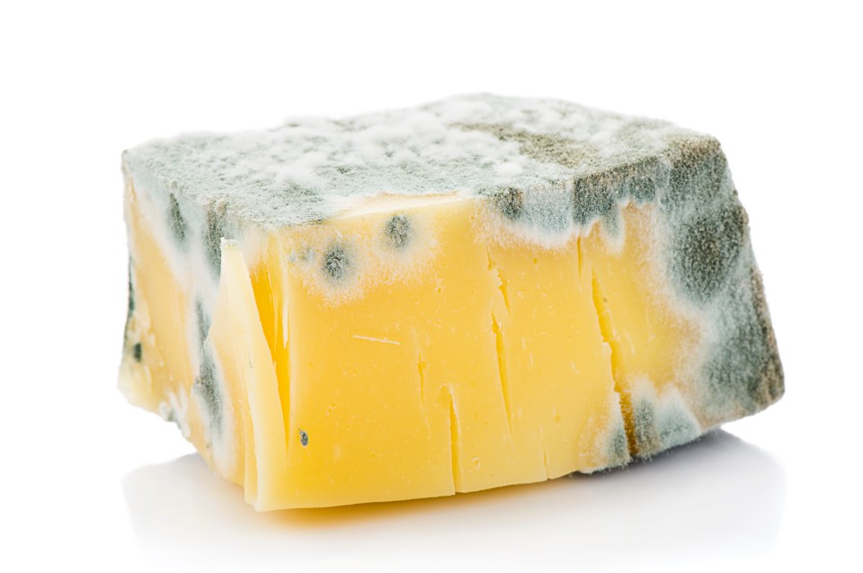  Bin mouldy soft cheese but it is safe to scrape mould off cheddar